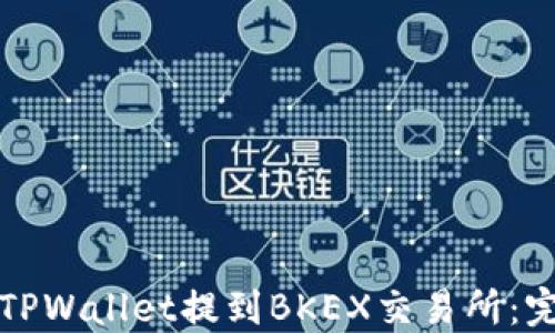 
如何将TPWallet提到BKEX交易所：完整指南