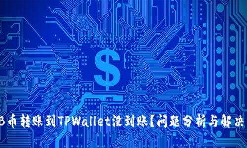 SHIB币转账到TPWallet没到账？问题分析与解决方案