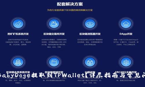 如何将BabyDoge提取到TPWallet？详尽指南与常见问题解答