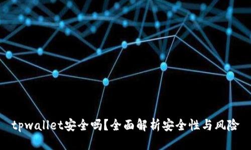 tpwallet安全吗？全面解析安全性与风险