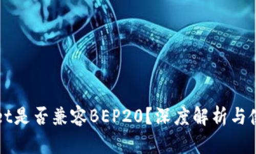 TPWallet是否兼容BEP20？深度解析与使用指南