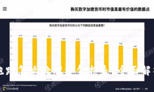 TPWallet跑路怎么处理资金损失？全面解析应对方案