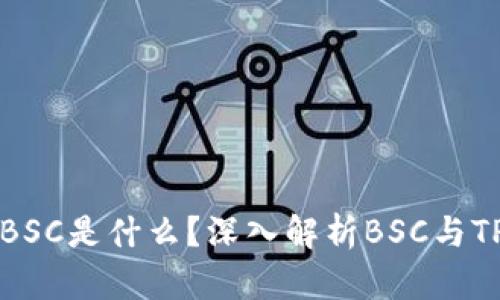 TPWallet里的BSC是什么？深入解析BSC与TPWallet的关系