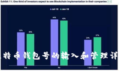 比特币钱包号的输入和管理详解