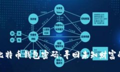 揭秘中本聪比特币钱包密