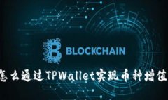 怎么通过TPWallet实现币种增