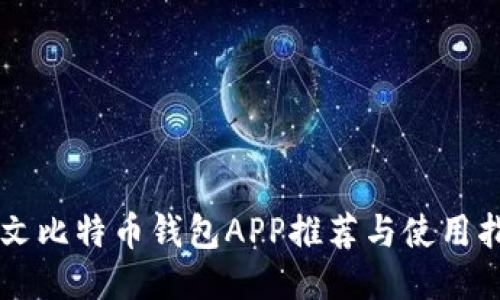 中文比特币钱包APP推荐与使用指南