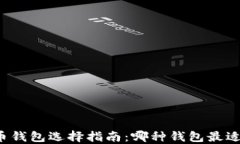 比特币钱包选择指南：哪种钱包最适合你？