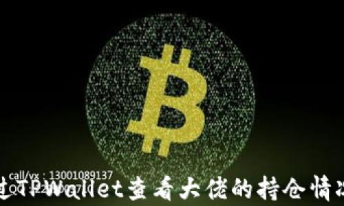 
如何通过TPWallet查看大佬的持仓情况及分析