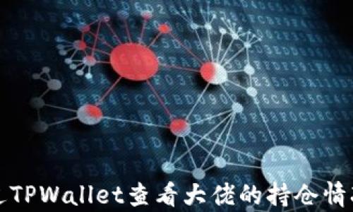 
如何通过TPWallet查看大佬的持仓情况及分析