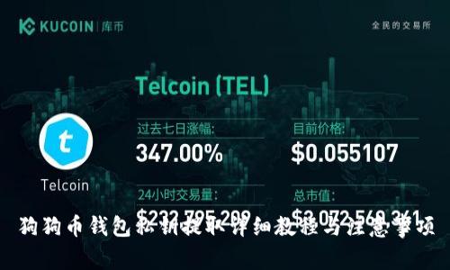 狗狗币钱包私钥提取详细教程与注意事项