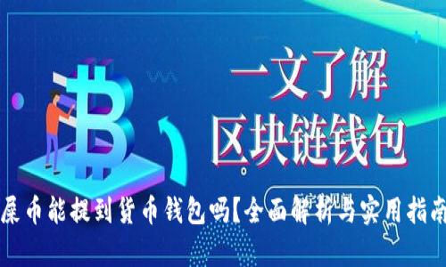 屎币能提到货币钱包吗？全面解析与实用指南