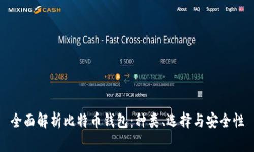 全面解析比特币钱包：种类、选择与安全性