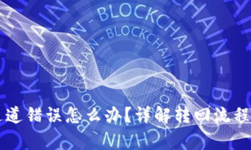 TPWallet通道错误怎么办？详解转回流程与注意事项