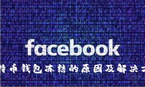 比特币钱包冻结的原因及解决方法