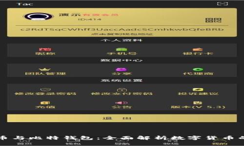 比特币与比特钱包：全面解析数字货币的背后