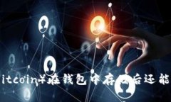 屎币（Shitcoin）在钱包中存