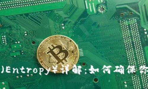 比特币钱包的熵（Entropy）详解：如何确保你的数字资产安全
