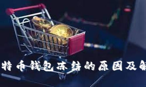 ## 比特币钱包冻结的原因及解决方法
