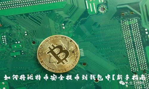 如何将比特币安全提币到钱包中？新手指南