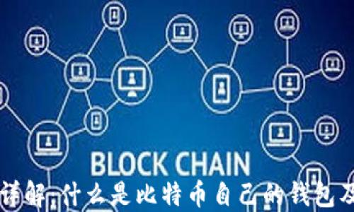 
比特币钱包详解：什么是比特币自己的钱包及其使用指南