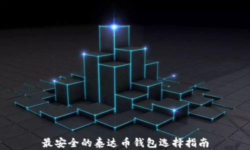 
最安全的泰达币钱包选择指南