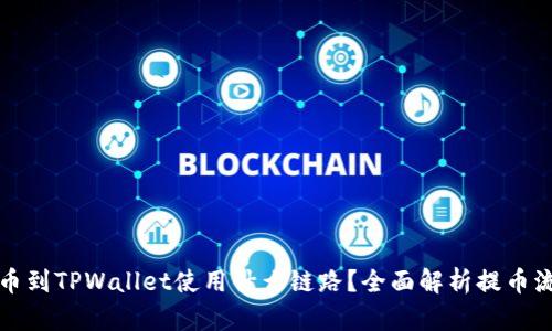 提币到TPWallet使用什么链路？全面解析提币流程