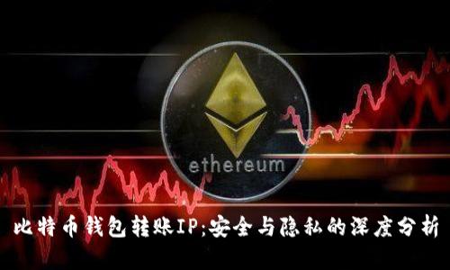 比特币钱包转账IP：安全与隐私的深度分析