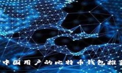 2023年适合中国用户的比特