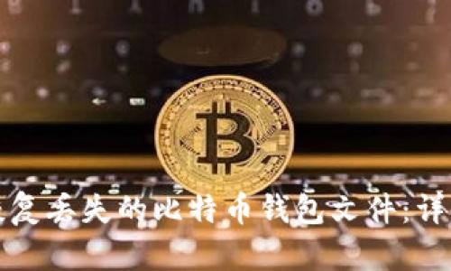 如何恢复丢失的比特币钱包文件：详细指南