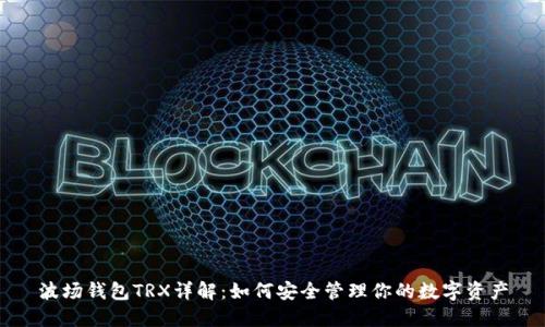 波场钱包TRX详解：如何安全管理你的数字资产