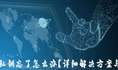 
tpwallet私钥忘了怎么办？详细解决方案与预防技巧