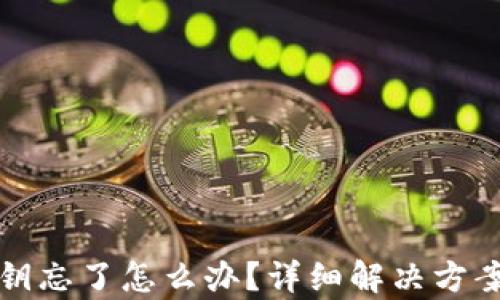 
tpwallet私钥忘了怎么办？详细解决方案与预防技巧