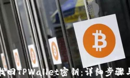 
如何找回TPWallet密钥：详细步骤与技巧