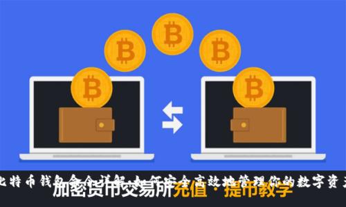 比特币钱包命令详解：如何安全高效地管理你的数字资产