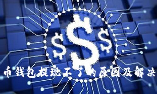 比特币钱包提现不了的原因及解决方案