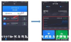 USDT如何与钱包对接：完整