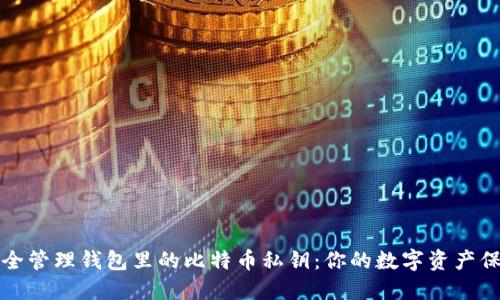 如何安全管理钱包里的比特币私钥：你的数字资产保护指南