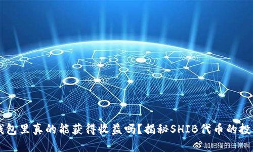 SHIB币放在钱包里真的能获得收益吗？揭秘SHIB代币的投资潜力与风险