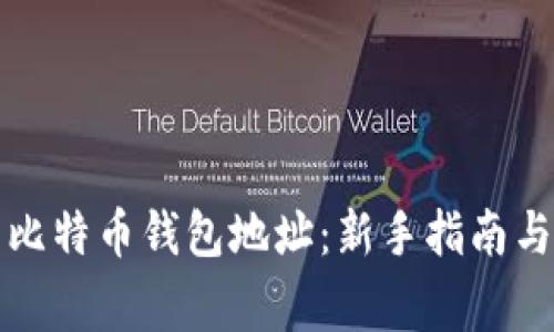 如何正确填写比特币钱包地址：新手指南与常见错误解析