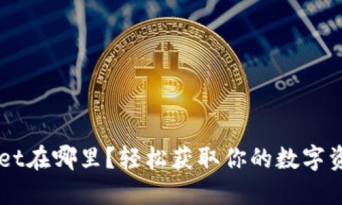 货币TPWallet在哪里？轻松获取你的数字资产管理利器