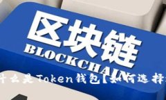 2023年全解析：什么是Tok